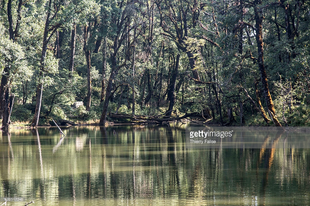 Nachiketa Lake in Uttarkashi