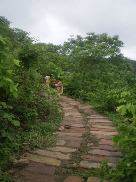 Chitrakoot forest