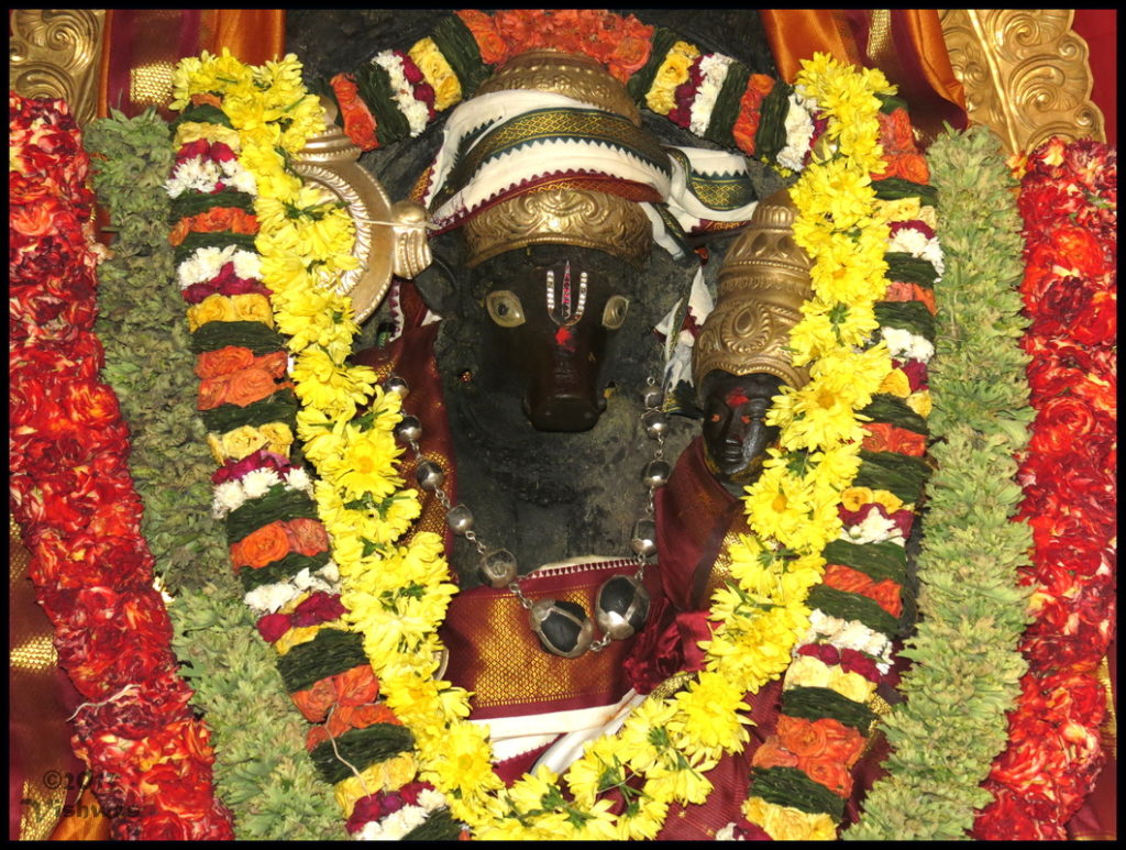 Sri Lakshmi Varaha Swamy - Shanta murty of Sri Yoga Narasimhar