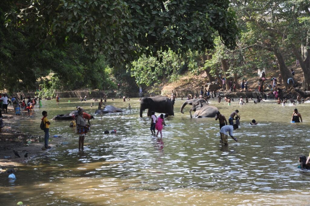 Manikya Ganga