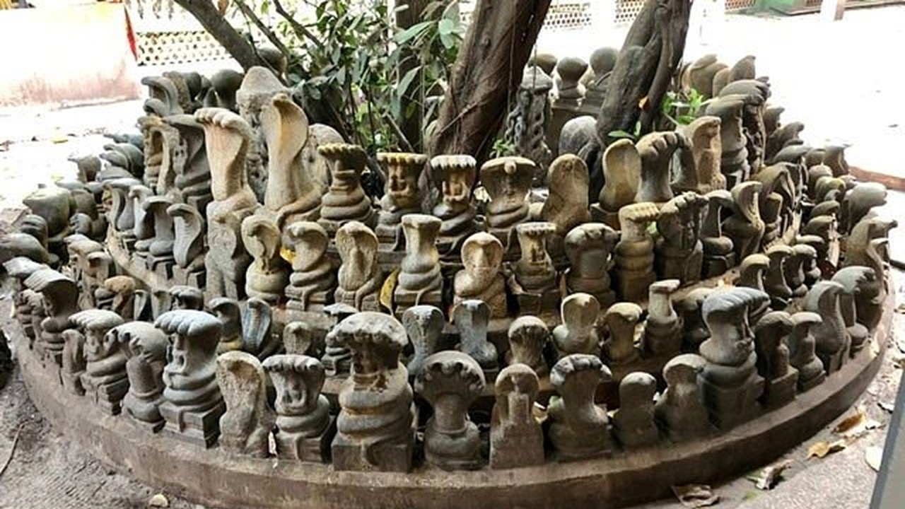 Mannarasala Sri Nagaraja Temple